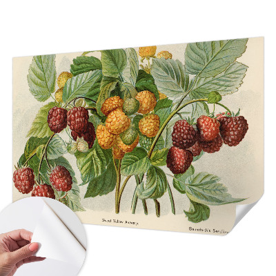Papel de parede 3D com estampa de framboesas clássicas