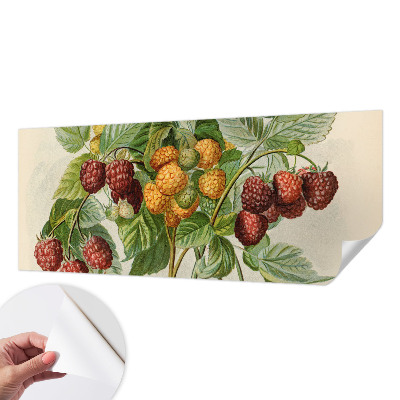 Papel de parede 3D com estampa de framboesas clássicas
