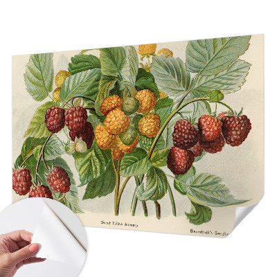 Papel de parede 3D com estampa de framboesas clássicas