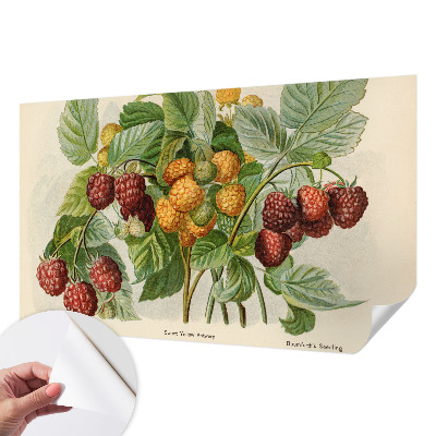 Papel de parede 3D com estampa de framboesas clássicas