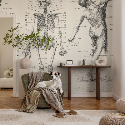 Papel de parede autocolante com estampa de anatomia clássica