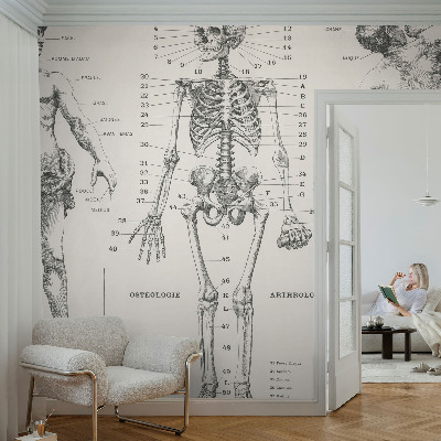 Papel de parede autocolante com estampa de anatomia clássica