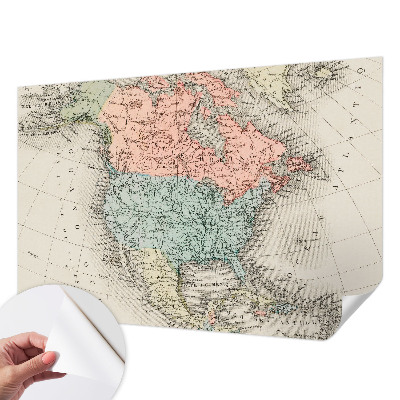 Papel de parede infantil com estampa de mapa histórico