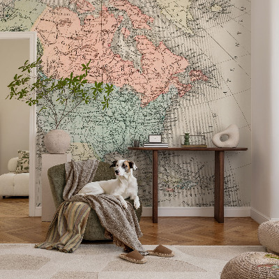 Papel de parede infantil com estampa de mapa histórico
