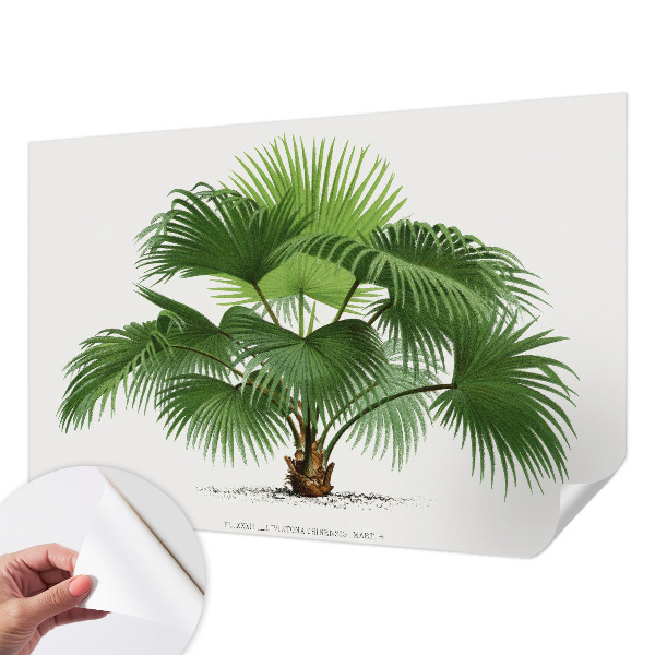 Autocolante de parede fotográfico Palmeira exótica
