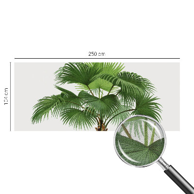 Autocolante de parede fotográfico Palmeira exótica