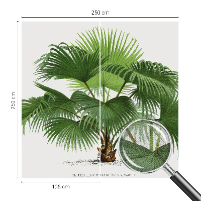 Autocolante de parede fotográfico Palmeira exótica