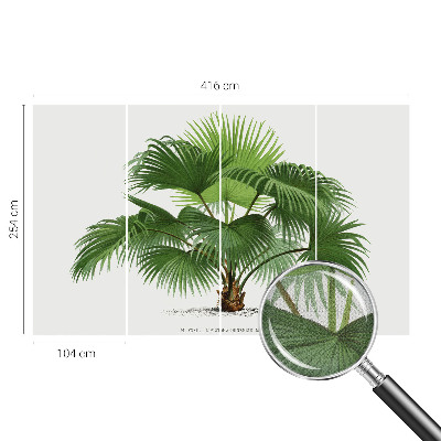 Autocolante de parede fotográfico Palmeira exótica