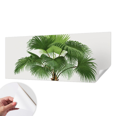 Autocolante de parede fotográfico Palmeira exótica