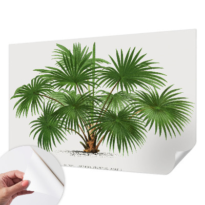 Papel de parede autocolante Padrão exótico