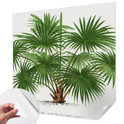 Papel de parede autocolante Padrão exótico