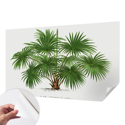 Papel de parede autocolante Padrão exótico