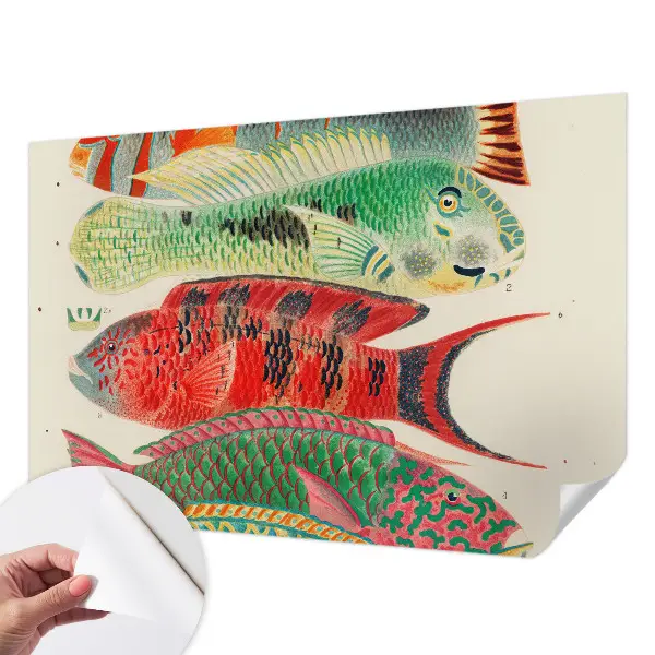 Papel de parede para criança com estampa de peixes exóticos
