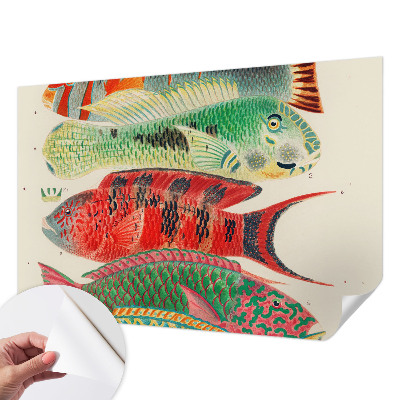 Papel de parede para criança Peixes exóticos