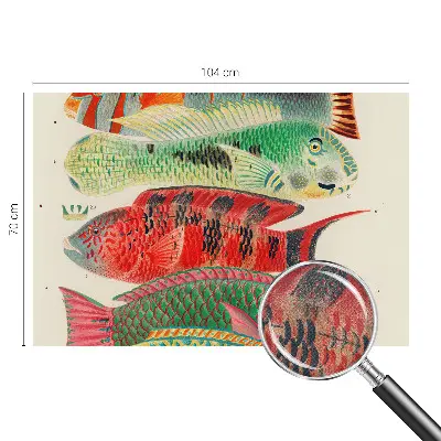 Papel de parede para criança com estampa de peixes exóticos