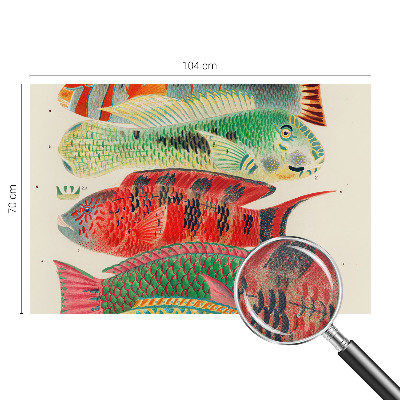 Papel de parede para criança Peixes exóticos