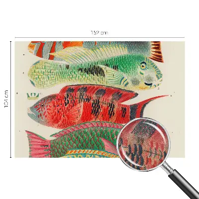 Papel de parede para criança com estampa de peixes exóticos