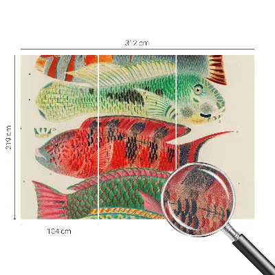 Papel de parede para criança com estampa de peixes exóticos