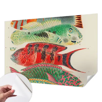 Papel de parede para criança com estampa de peixes exóticos