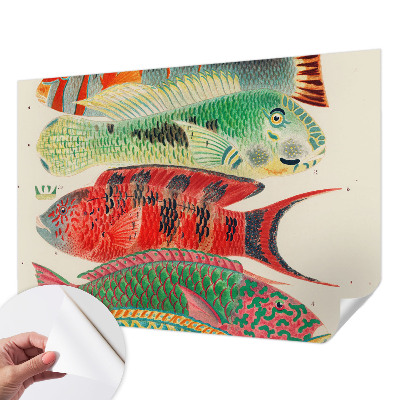 Papel de parede para criança Peixes exóticos