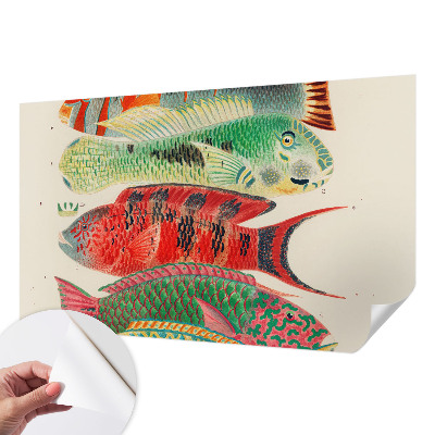 Papel de parede para criança Peixes exóticos