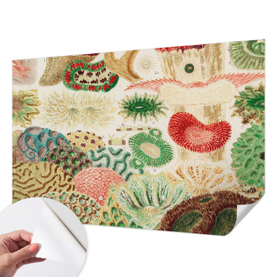 Papel de parede infantil com estampado de formas orgânicas