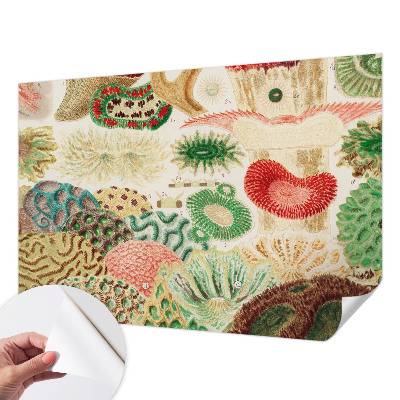 Papel de parede infantil Formas orgânicas