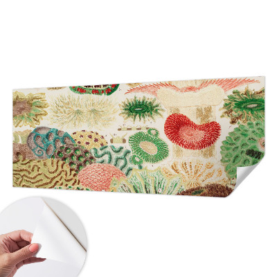 Papel de parede infantil Formas orgânicas