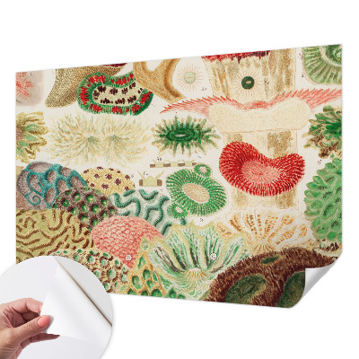 Papel de parede infantil Formas orgânicas