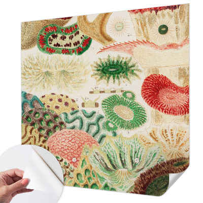 Papel de parede infantil Formas orgânicas