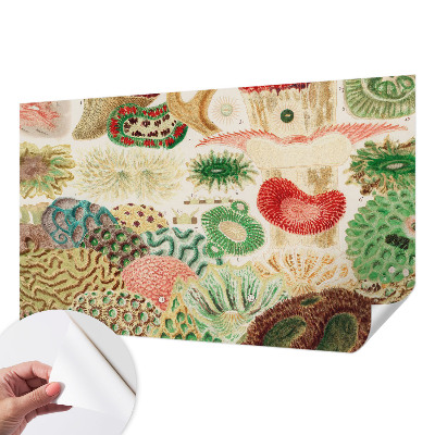 Papel de parede infantil Formas orgânicas
