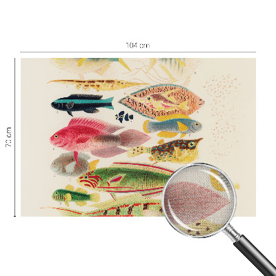 Papel de parede autocolante para sala Peixes coloridos