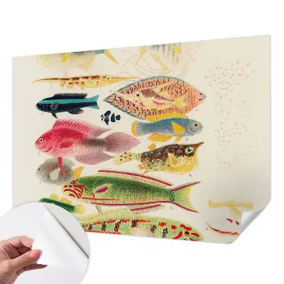 Papel de parede autocolante para sala com peixes coloridos