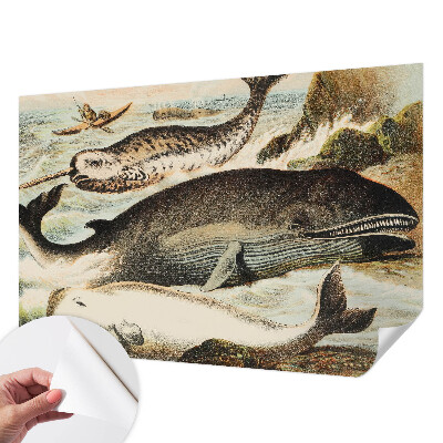 Papel de parede autocolante para sala com estampa de gigantes marinhos