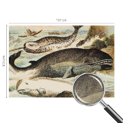 Papel de parede autocolante para sala com estampa de gigantes marinhos