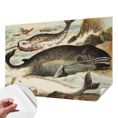 Papel de parede autocolante para sala com estampa de gigantes marinhos