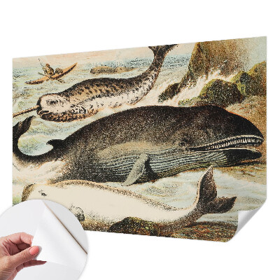 Papel de parede autocolante para sala com estampa de gigantes marinhos