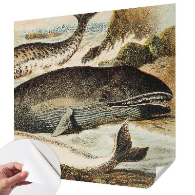 Papel de parede autocolante para sala Gigantes marinhos