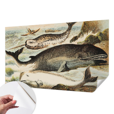 Papel de parede autocolante para sala com estampa de gigantes marinhos