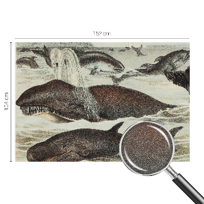 Papel de parede autocolante para quarto criaturas marinhas