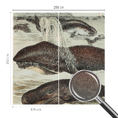 Papel de parede autocolante para quarto criaturas marinhas