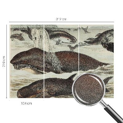 Papel de parede autocolante para quarto criaturas marinhas