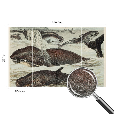 Papel de parede autocolante para quarto criaturas marinhas