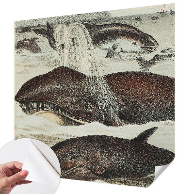 Papel de parede autocolante para quarto criaturas marinhas
