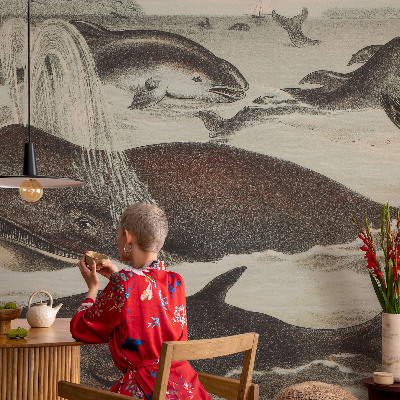 Papel de parede autocolante para quarto criaturas marinhas