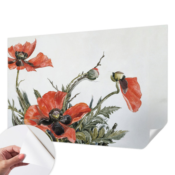 Papel de parede autocolante para sala com estampa de papoulas vermelhas