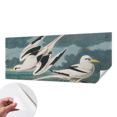 Papel de parede infantil Pássaros à beira-mar