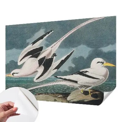 Papel de parede infantil com estampa de pássaros à beira-mar