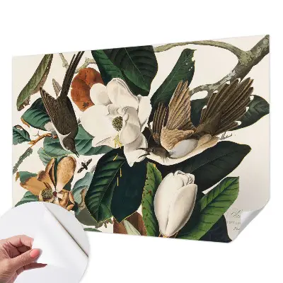 Papel de parede autocolante para quarto com pássaros e magnólias