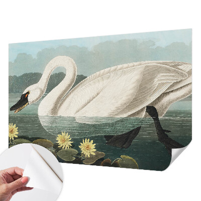 Autocolante de parede fotográfico de cisne e nenúfares